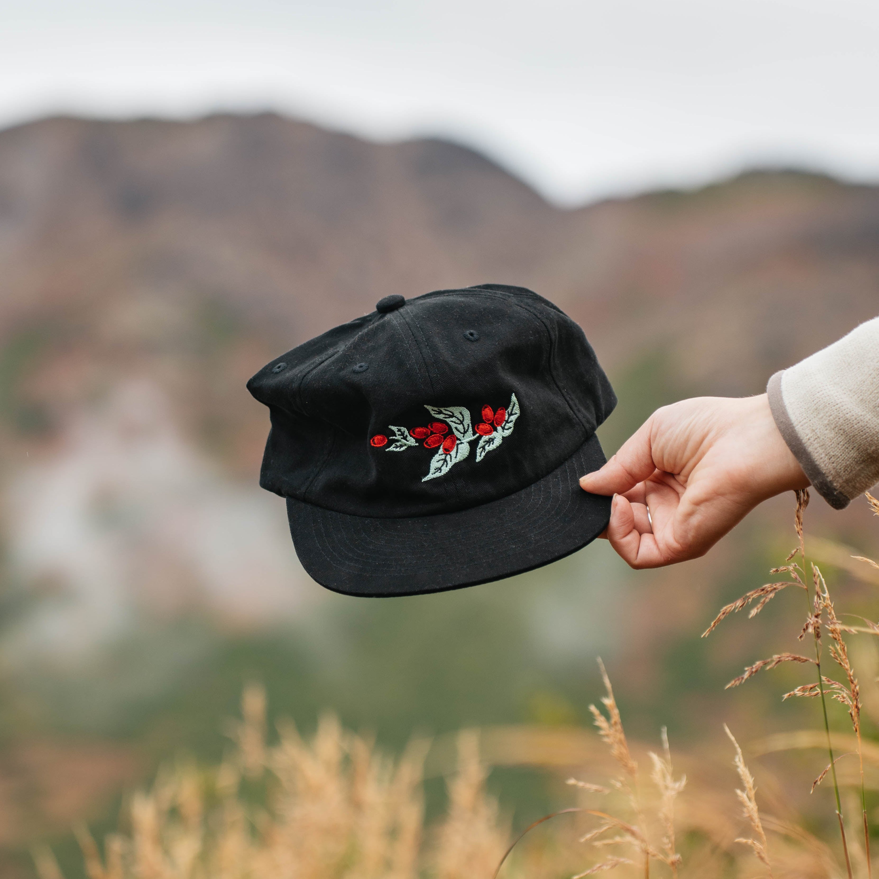 Hand holding the black Coffee Cherry Field Trip hat against a hillside
