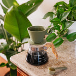 Coffee brewing apparatus on a countertop with plants in the background