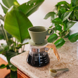 Coffee brewing apparatus on a countertop with plants in the background