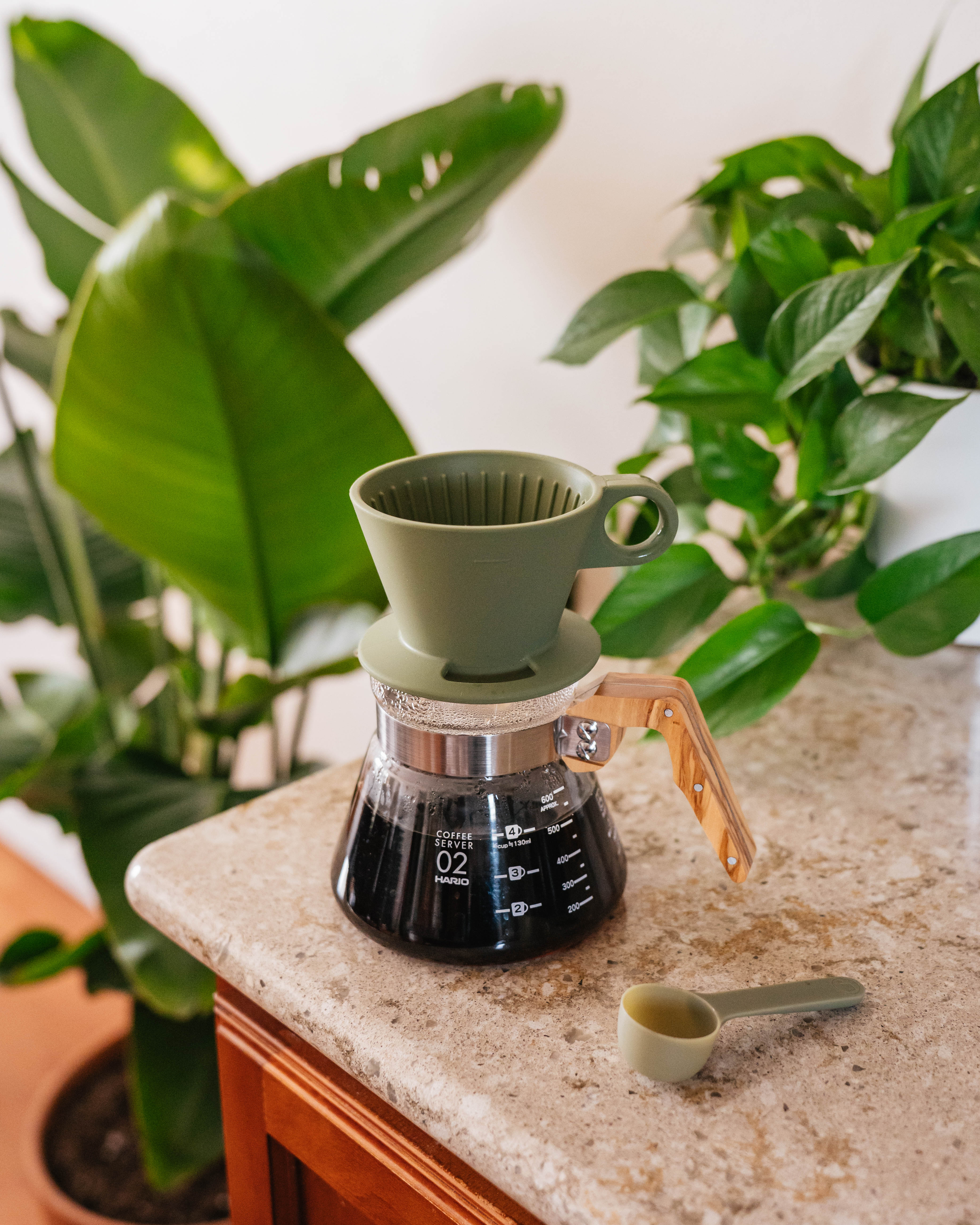 Coffee brewing apparatus on a countertop with plants in the background