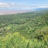 Limited Release: 8oz Tanzania Vohora Family